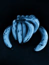 Bananas in different ways color photography meny bananas Royalty Free Stock Photo