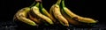 Bananas With Droplets On Black Background Wde Panoramic. Generative AI Royalty Free Stock Photo