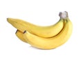 Bananas fruit isolated white background Royalty Free Stock Photo
