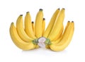 Bananas fruit isolated white background Royalty Free Stock Photo