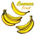 Bananas fruit set hand drawn vector illustration color sketch Royalty Free Stock Photo