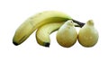 Bananas and guavas