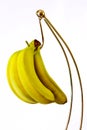 Bananas on holder Royalty Free Stock Photo