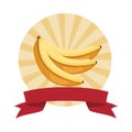 Bananas icon cartoon round icon