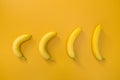 Bananas illustrating evolution theory