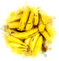 Bananas illustration