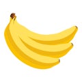 Isolated bananas illustration