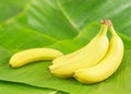 Bananas on leaves