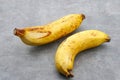 The bananas is medium ripe with brown spots all over the yellow skin