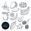 Bananas and other tropical exotic fruits. Vector sketch illustration. Hand drawn design elements and icons set Royalty Free Stock Photo