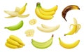 Bananas. Pieces of exotic tropical natural products realistic bananas platano vegetables fruits decent vector templates Royalty Free Stock Photo