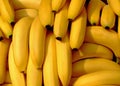 Bananas pile Royalty Free Stock Photo