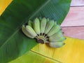 Bananas are placed between the two banana leaves. Royalty Free Stock Photo