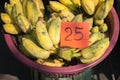 Bananas in a basket