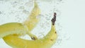 Bananas plunging into water on white background in slow motion