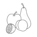 Bananas and pomegranates. Harvest fruits. Vector black and white drawing. Children's coloring, objects for drawing Royalty Free Stock Photo