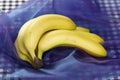 Bananas - popart