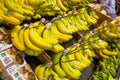 Bananas on a rack