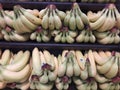 Bananas ready for sale in a supermarket Royalty Free Stock Photo