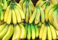 Bananas for sale on farmers market Royalty Free Stock Photo