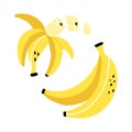Bananas set. Exotic tropical fresh fruit, whole fruits and peel, vector cartoon minimalistic style isolated illustration, print or Royalty Free Stock Photo