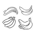 Bananas set, vector hand drawing. bananas, vector sketch on a white background Royalty Free Stock Photo