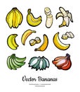 Bananas set vector isolated. Whole chopped banana slices bunch. Yellow green red fruits collection hand drawn vegetarian Royalty Free Stock Photo