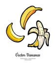 Bananas set vector isolated. Whole peeled banana. Yellow fruits collection hand drawn. Food vegetarian logo icon sketch Royalty Free Stock Photo