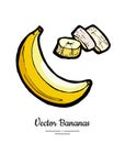 Bananas set vector isolated. Whole peeled chopped banana slice bunch Yellow sweet fruit collection hand drawn vegetarian Royalty Free Stock Photo