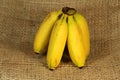 Bananas Royalty Free Stock Photo