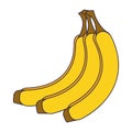 Bananas sweet fruit cartoon