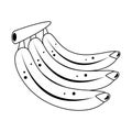 Bananas sweet fruits cartoon in black and white