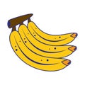 Bananas sweet fruits cartoon blue lines