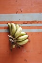 Bananas on table