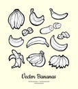 Bananas vector isolated. Fruits collection hand drawn set. Trendy food vegetarian menu, fruit icons set in ink style