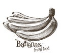 Bananas vector logo design template. fruit or food