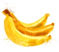Bananas vector logo design template. nutrition or
