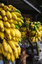 Bananas view at a local fruit market near the Ravana Falls in Ella, Sri Lanka