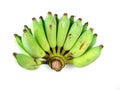 Bananas on the white background isolate, Musaceae, Cultivated banana, Namwa, Green fruit Royalty Free Stock Photo