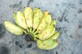 Bananas on the wooden table at the farm.