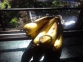 Bananes on window