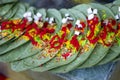 Banarasi betel leaf and various red spices and background blur