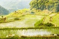 Banaue Royalty Free Stock Photo