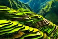 Banaue rice terraces Royalty Free Stock Photo