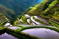 Banaue rice terraces in Hungduan