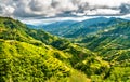 Banaue Rice Terraces - northern Luzon, UNESCO world heritage in Philippines.