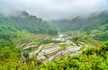 Banaue Rice Terraces in the rain. UNESCO world heritage in the Philippines