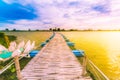 Banboo bridge across the swamp Beung krajab yai,Chainat province,Thailand Royalty Free Stock Photo