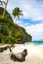 Banca boats on the pristine beach of Entalula island in El nido region of Palawan in the Philippines. Vertical view