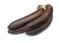 Banch of black bananas Royalty Free Stock Photo